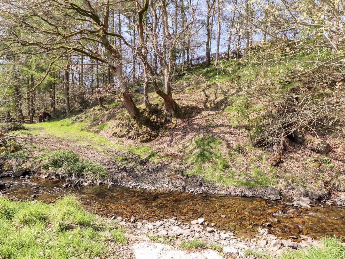 Nant Y Celyn Βίλα Ρούθιν Εξωτερικό φωτογραφία